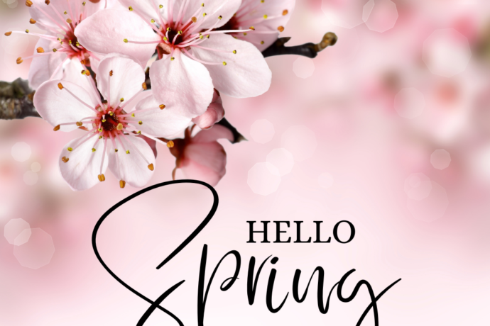 Pink Hello Spring Instagram Post